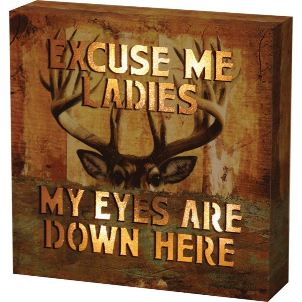 LED Lit Box Sign Excuse Me Ladies My Eyes Are Down Here Deer Camo Cabin 6x6"